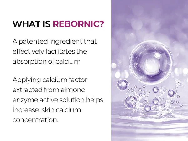 🥇60%OFF✨ODALIT™ Calcium Multi-Balm – Wrinkle Smoothing and Skin Firming Balm💖